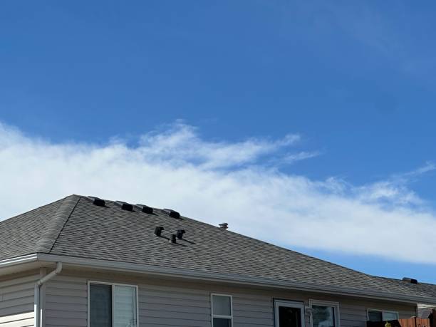 Roof Coating Services in Richboro, PA